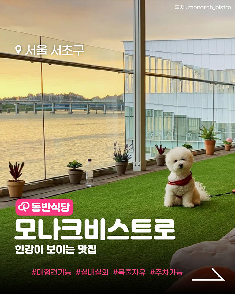 모나크비스트로