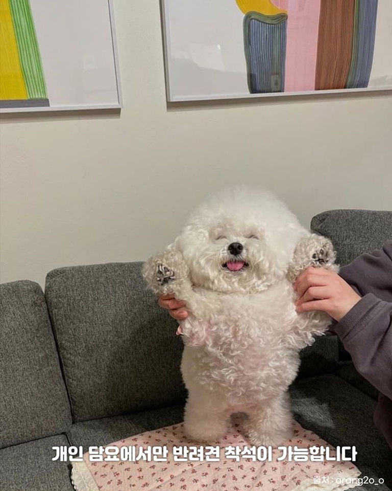 어니언쇼룸