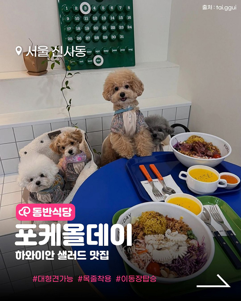 포케올데이