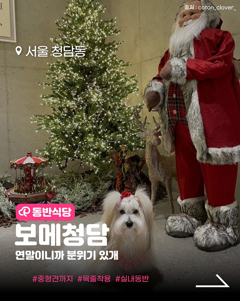 보메청담