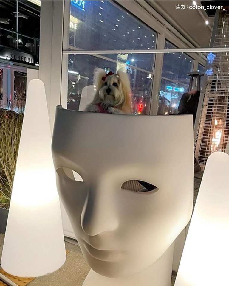 보메청담