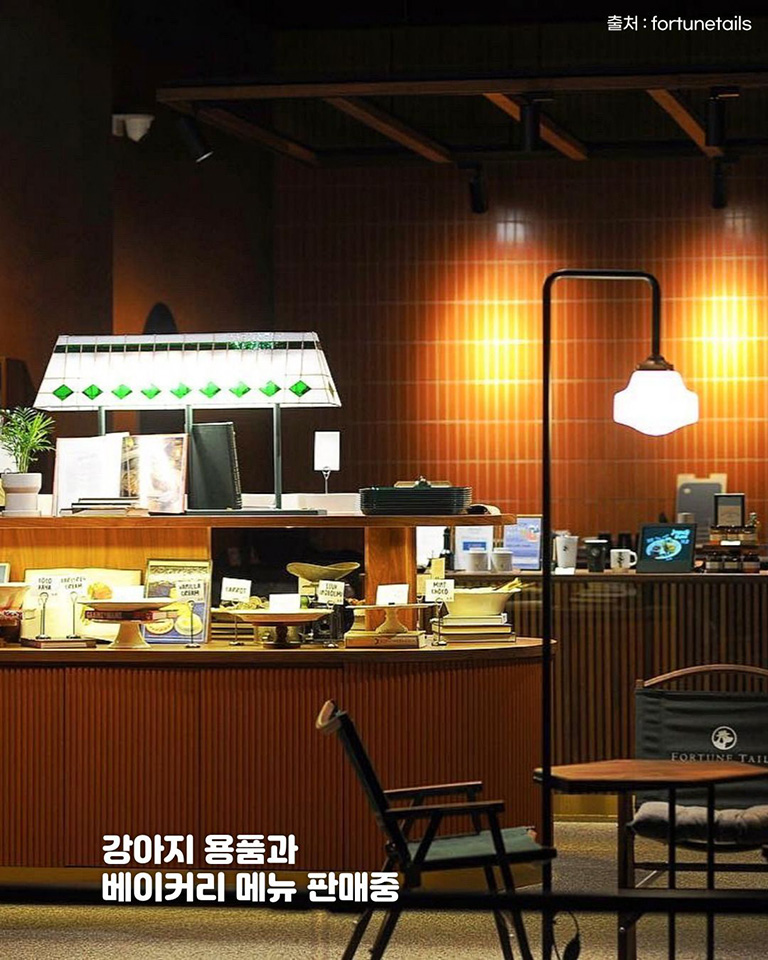 포춘테일