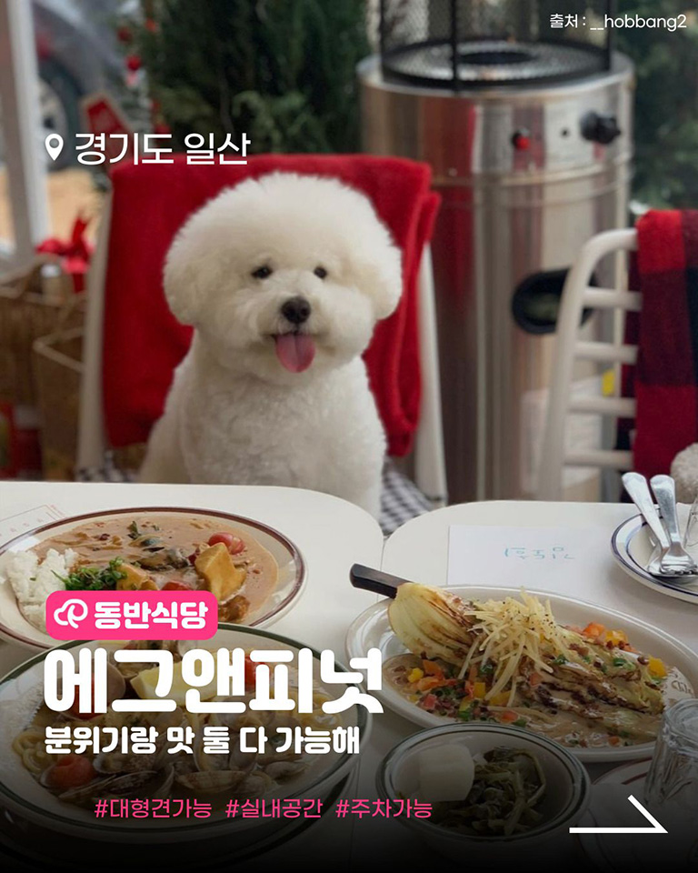 에그앤피넛