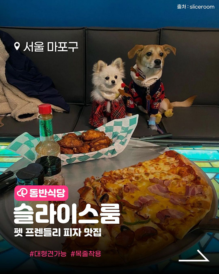 슬라이스룸