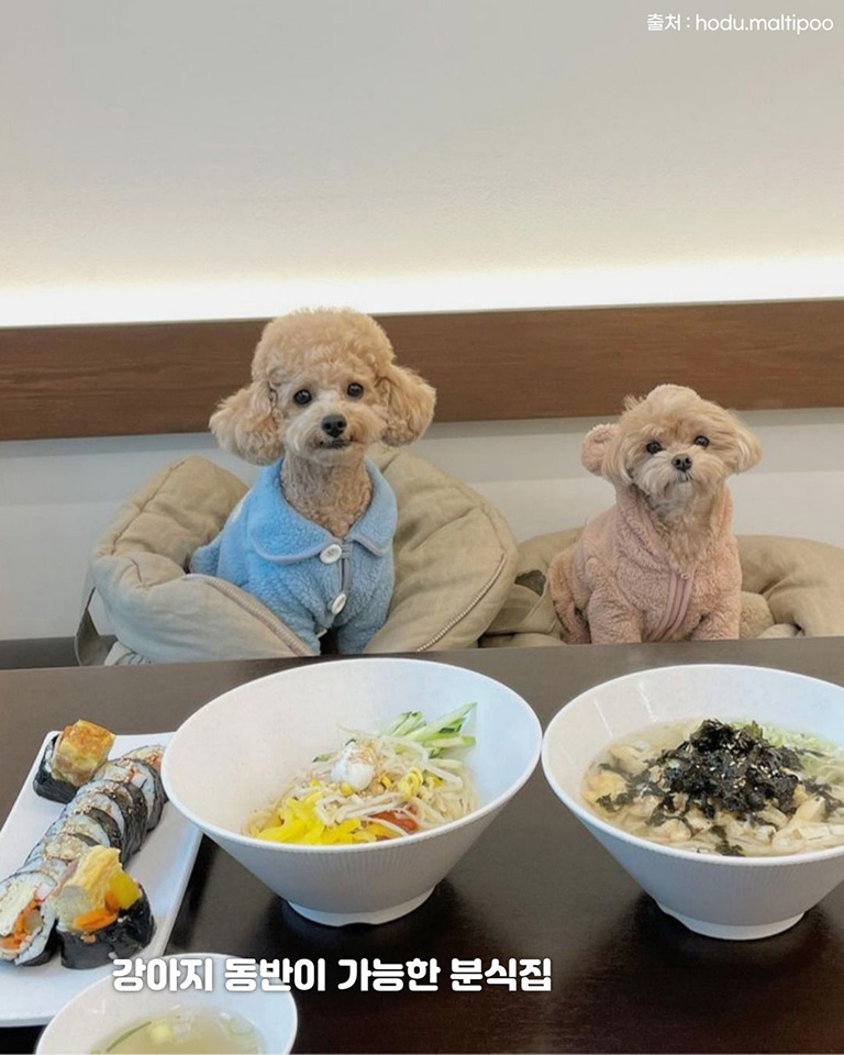 면면히