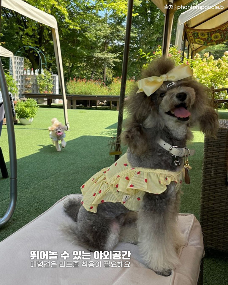 연양정원