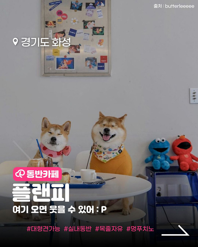 플랜피