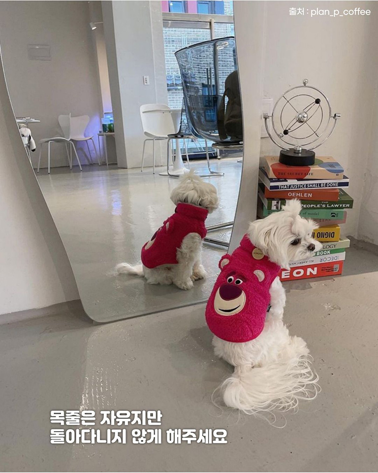 플랜피