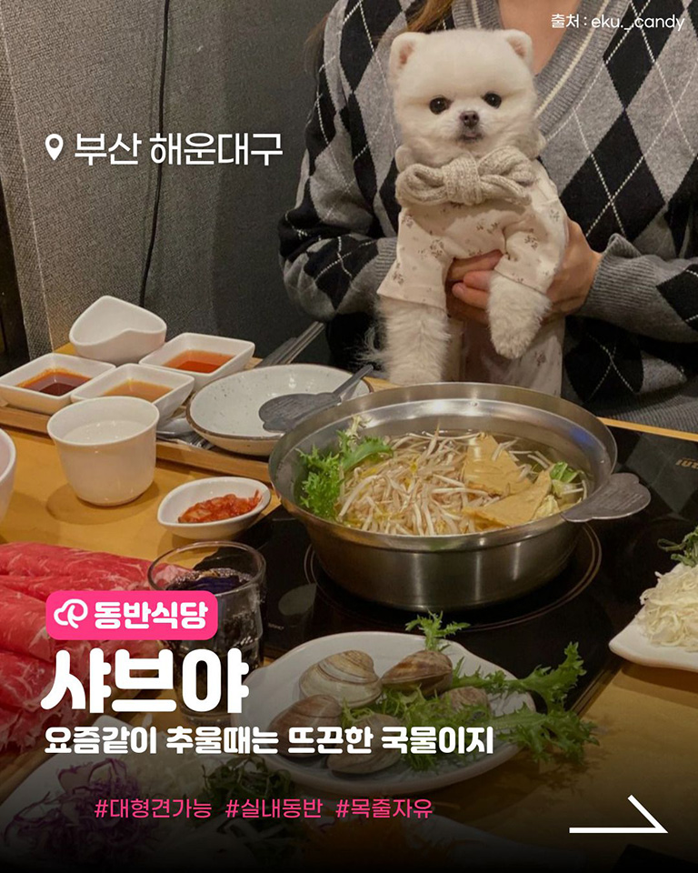 샤브야  본점