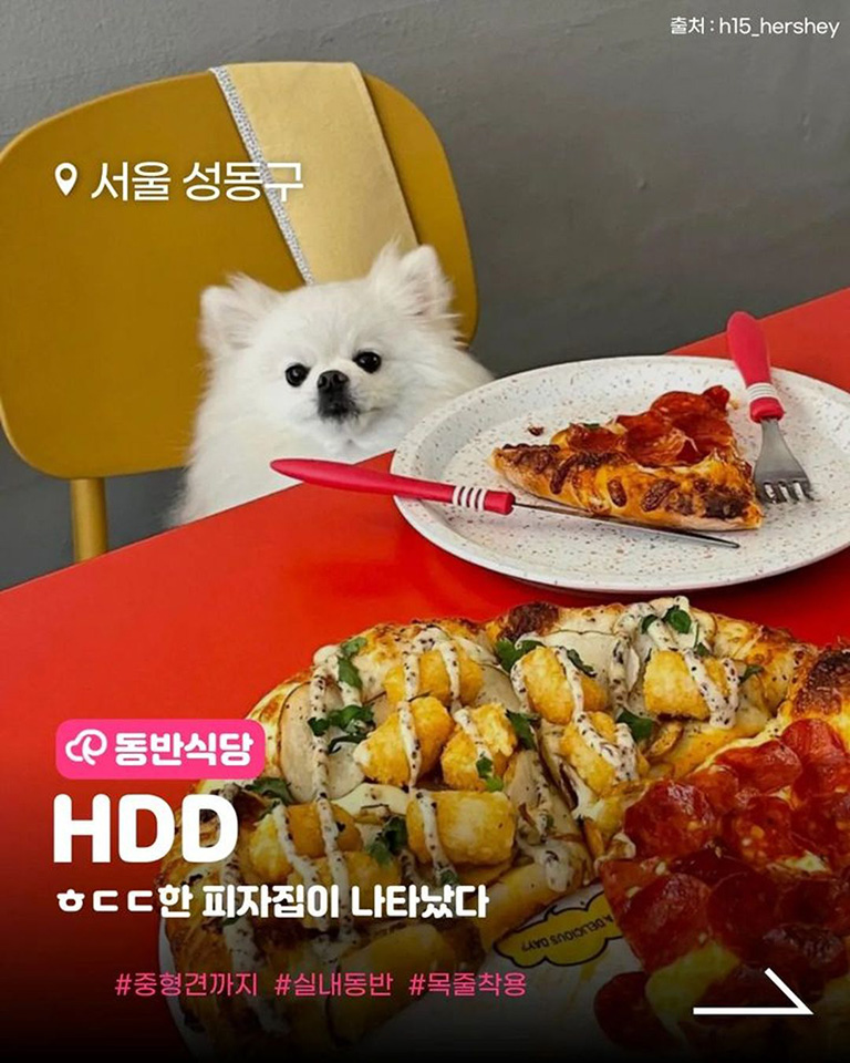 HDD피자