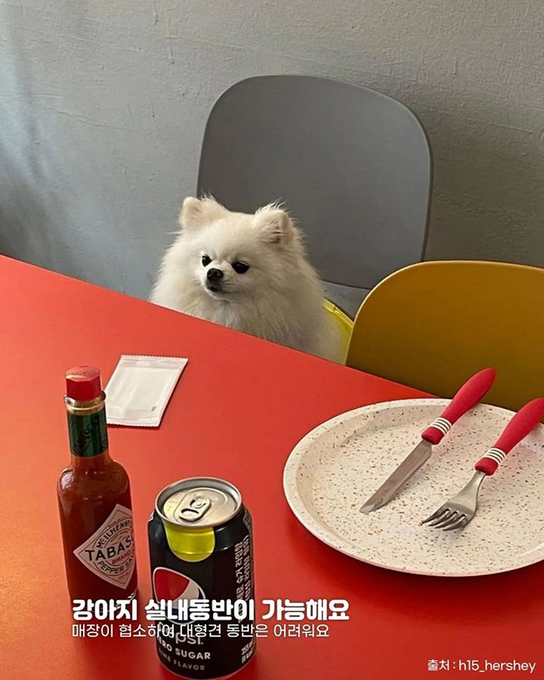 HDD피자