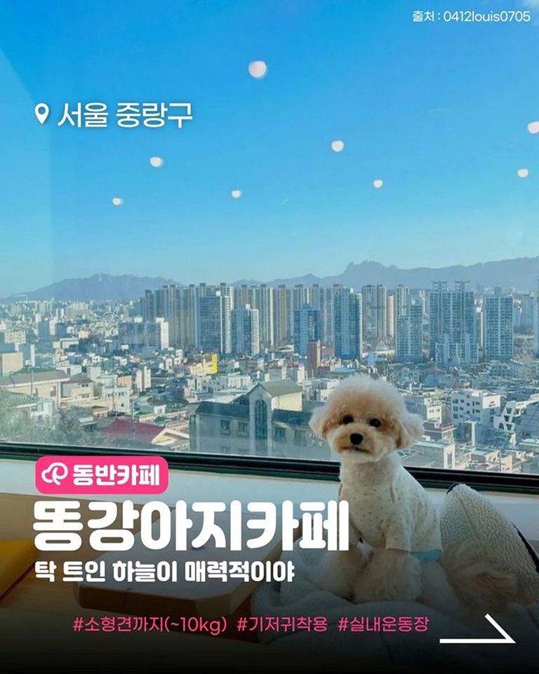 똥강아지카페