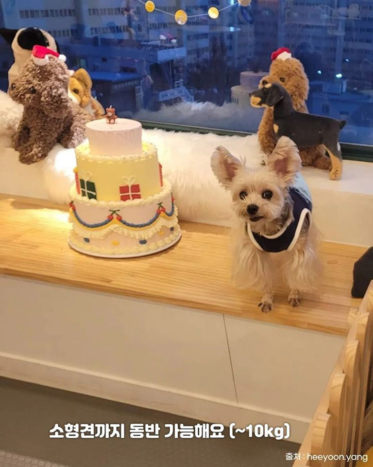 똥강아지카페