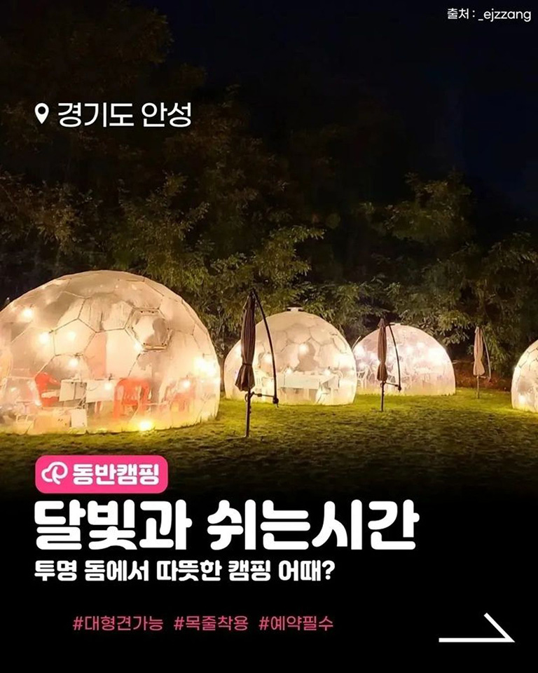 달빛과쉬는시간