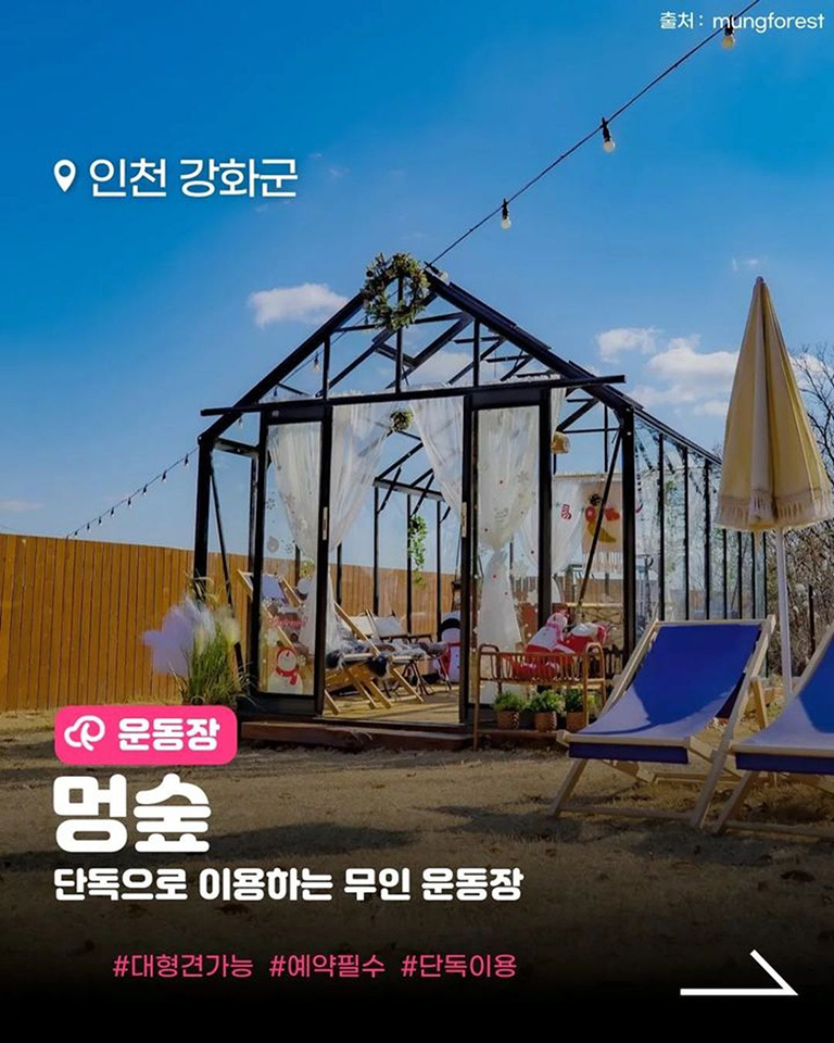 멍숲 애견운동장