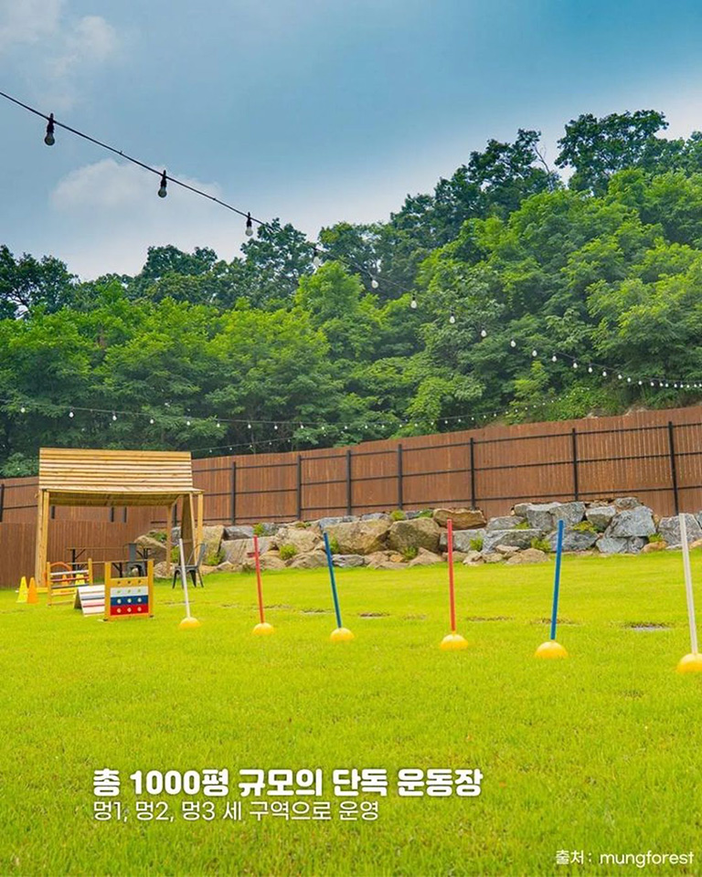 멍숲 애견운동장