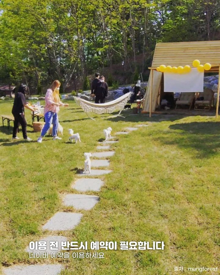멍숲 애견운동장