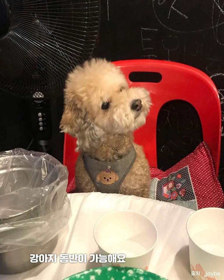이런씨불닭발