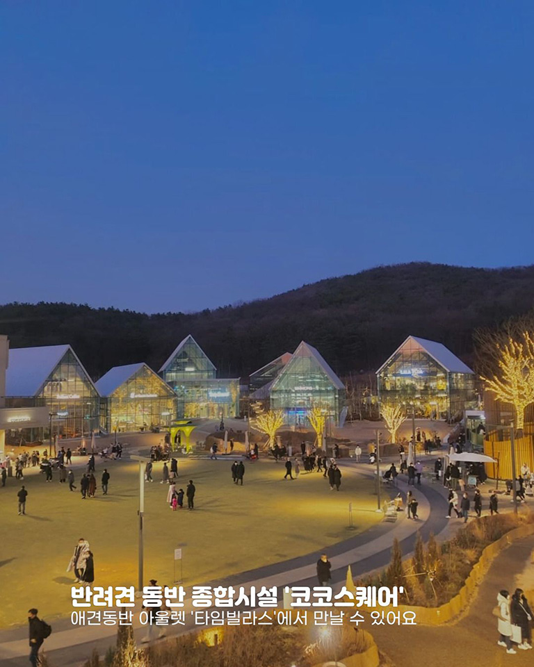 코코스퀘어 타임빌라스점