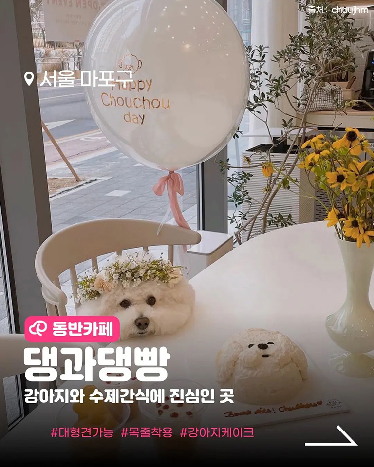댕과댕빵