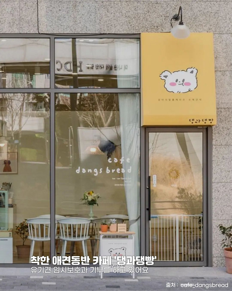 댕과댕빵