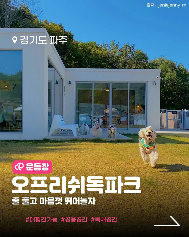 오프리쉬 독파크
