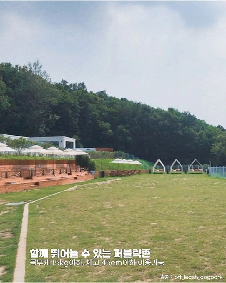 오프리쉬 독파크