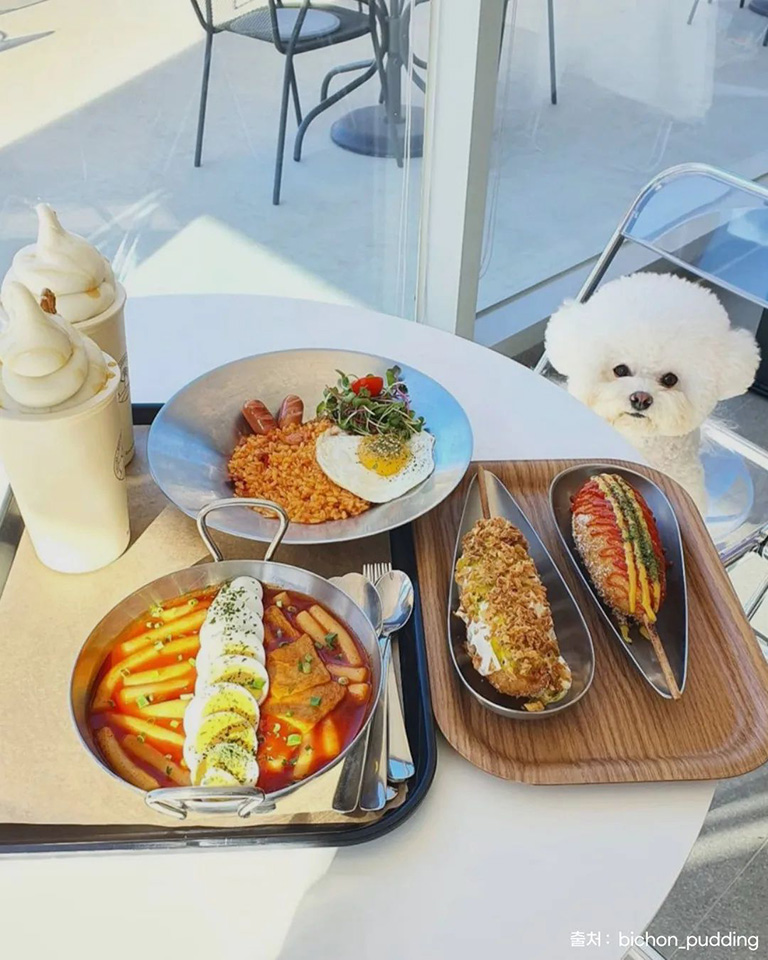오프리쉬 독파크