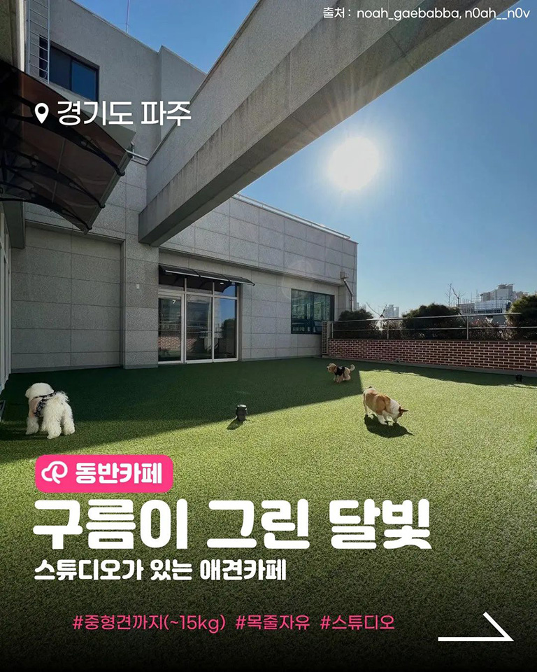 구름이 그린 달빛