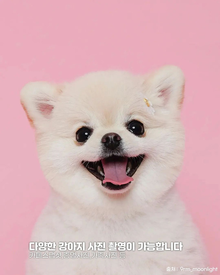 구름이 그린 달빛