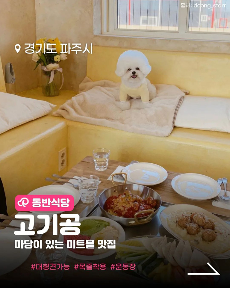 고기공