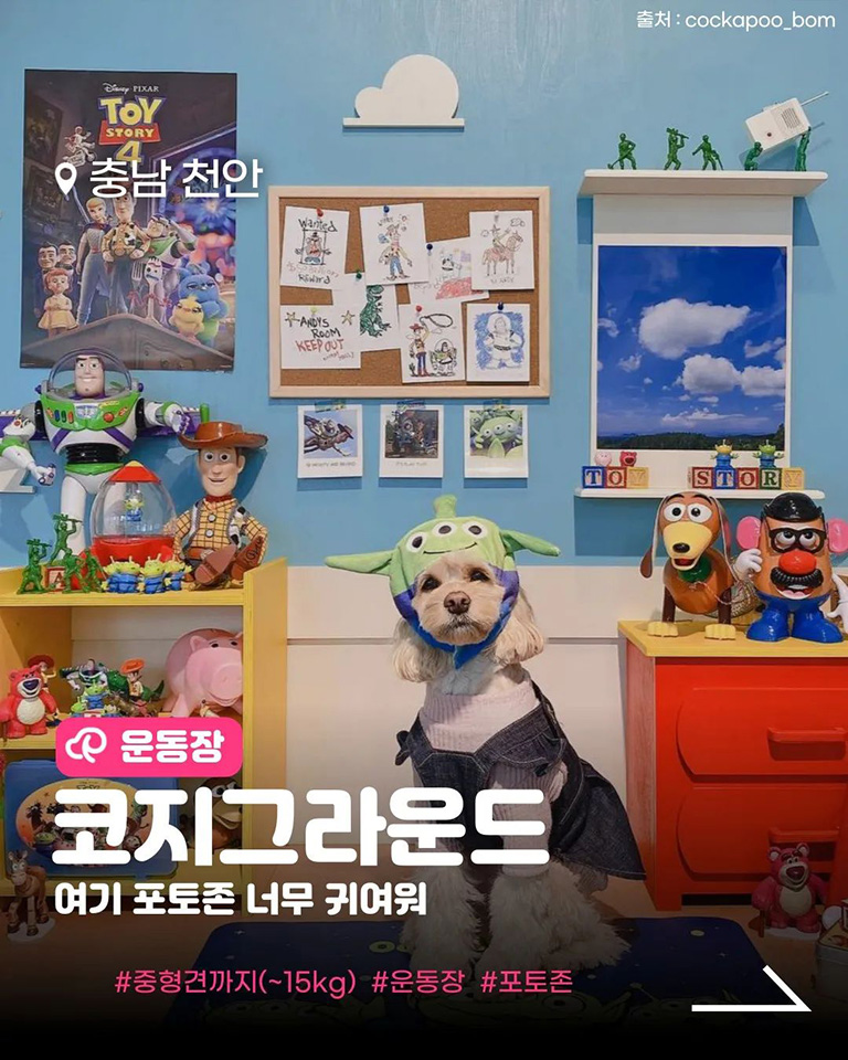 코지그라운드