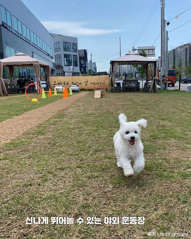 코지그라운드