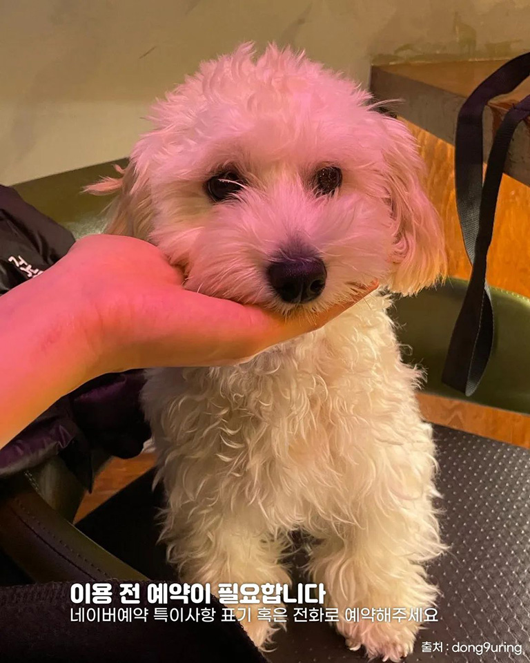 진식주