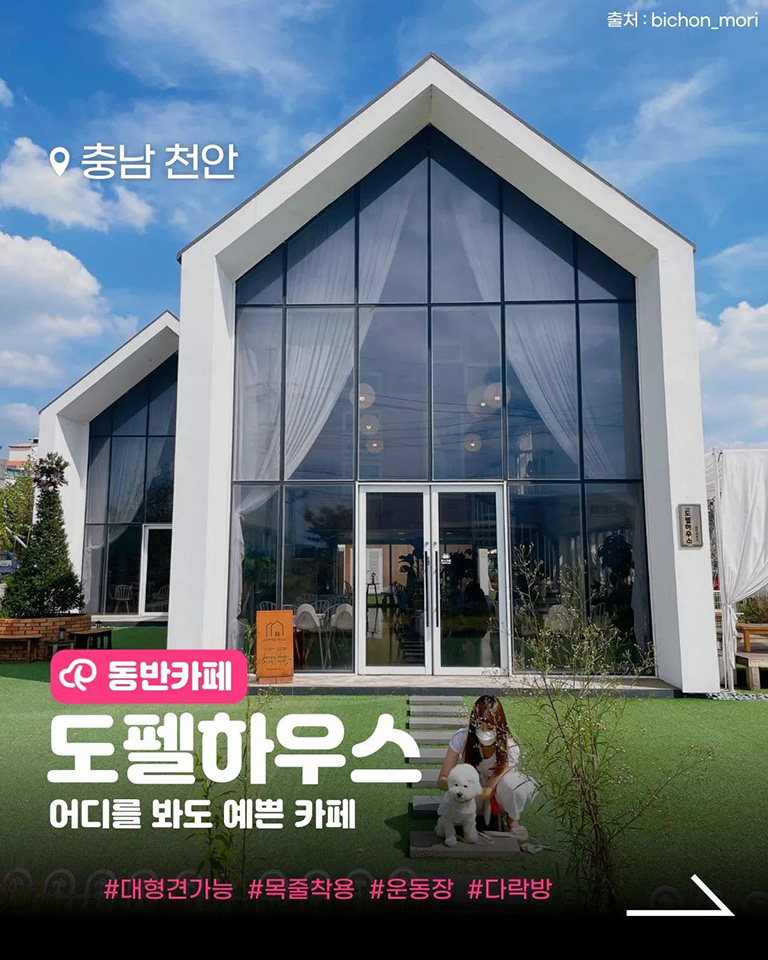 도펠하우스