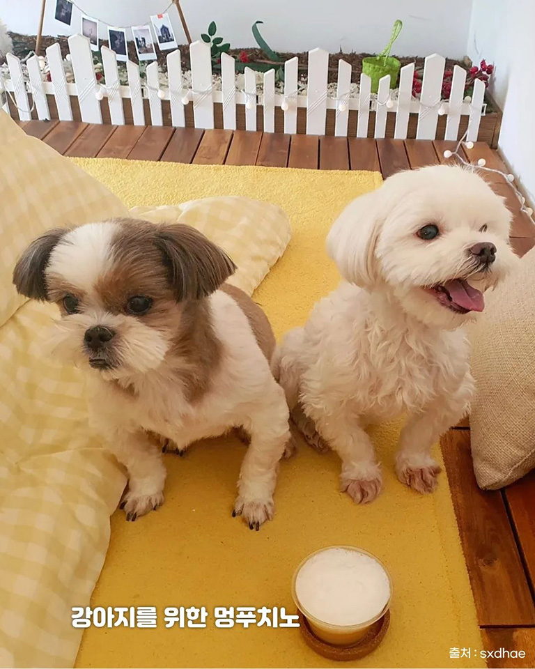 도펠하우스
