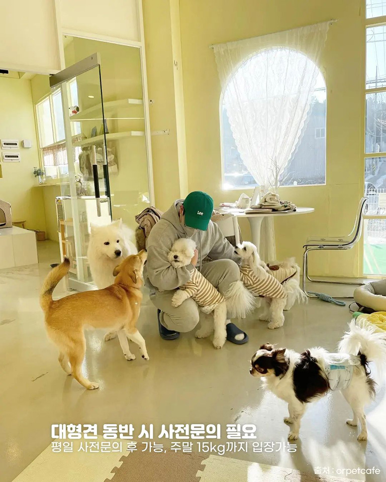 오알카페
