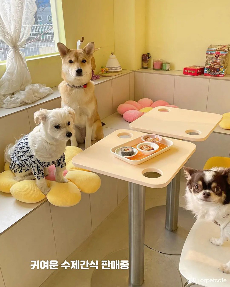오알카페