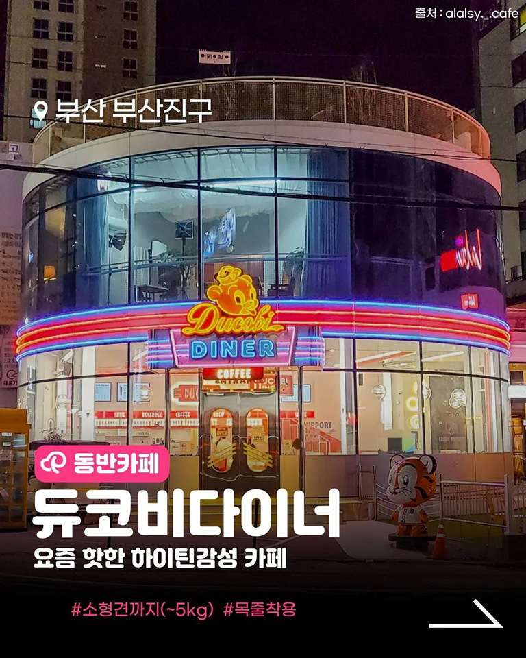 듀코비다이너