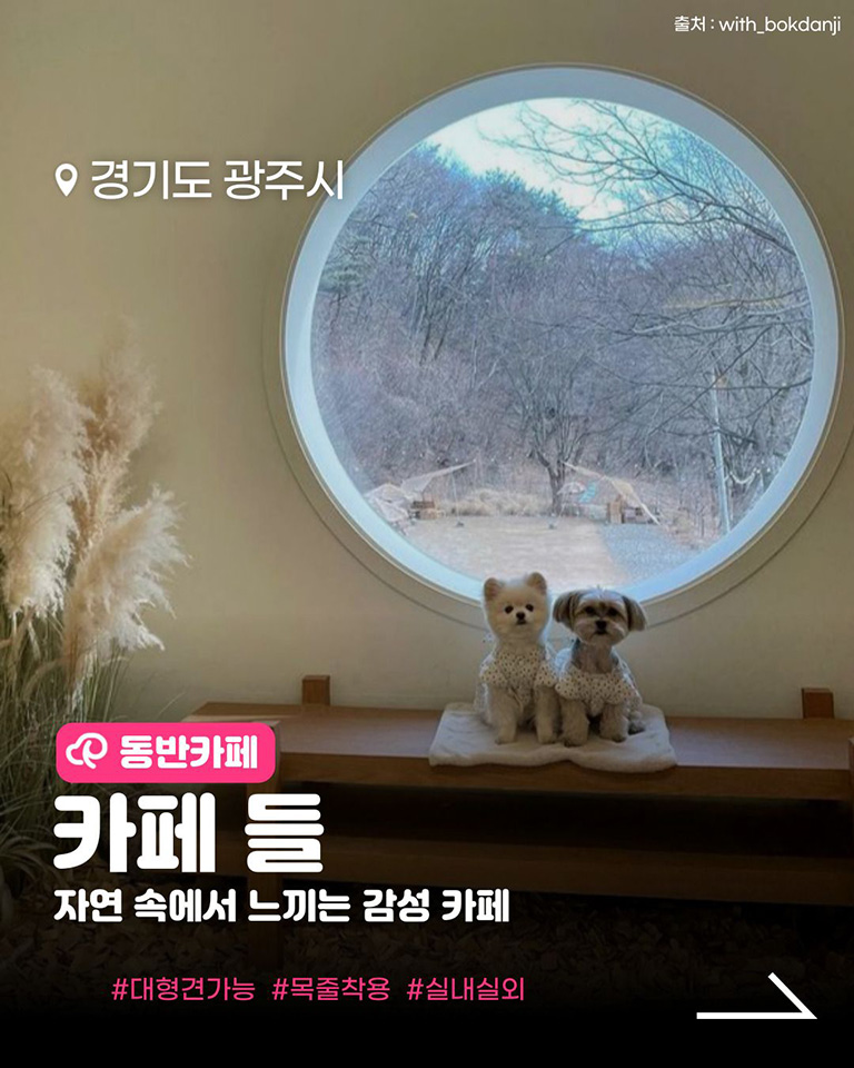 카페 들
