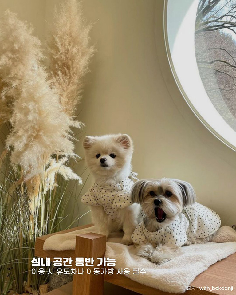 카페 들