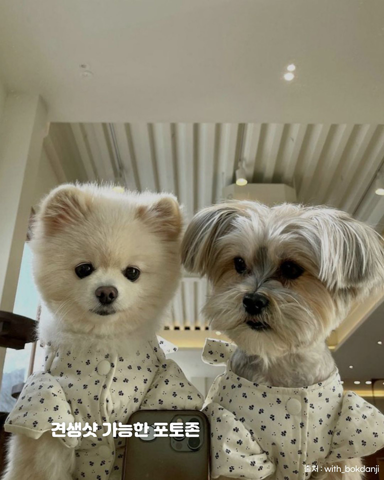카페 들