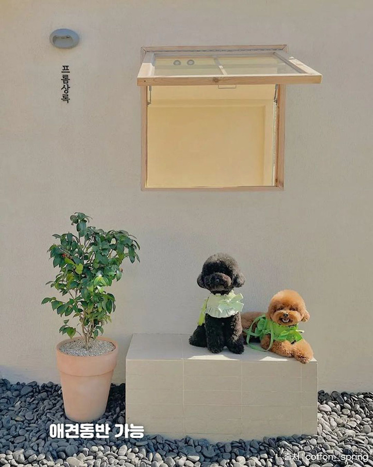 프롬상록