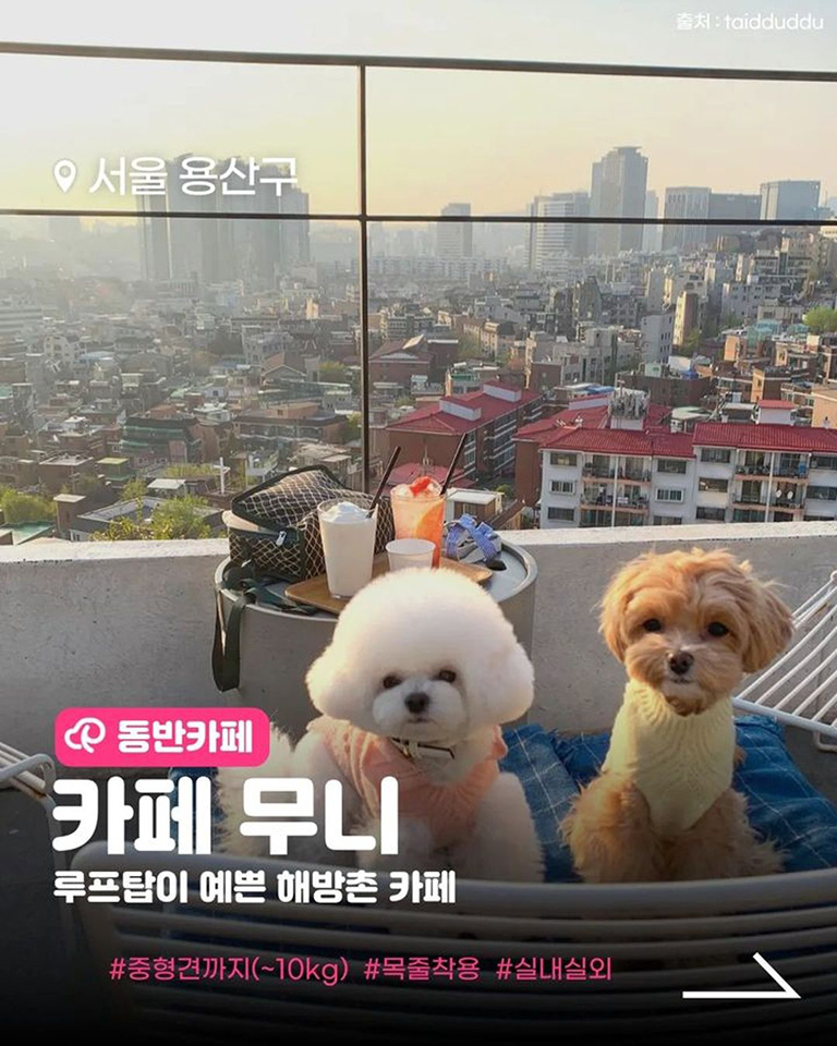 카페무니