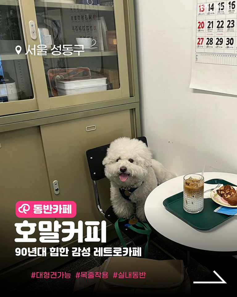 호말커피