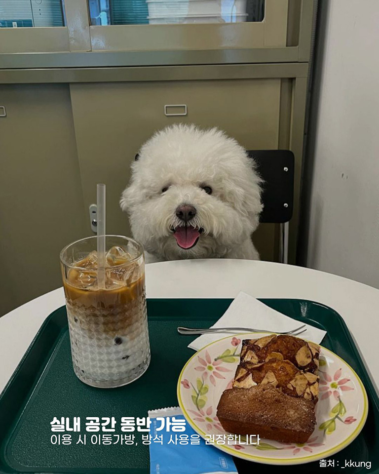 호말커피