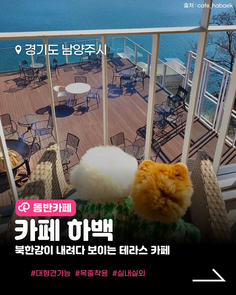 카페 하백