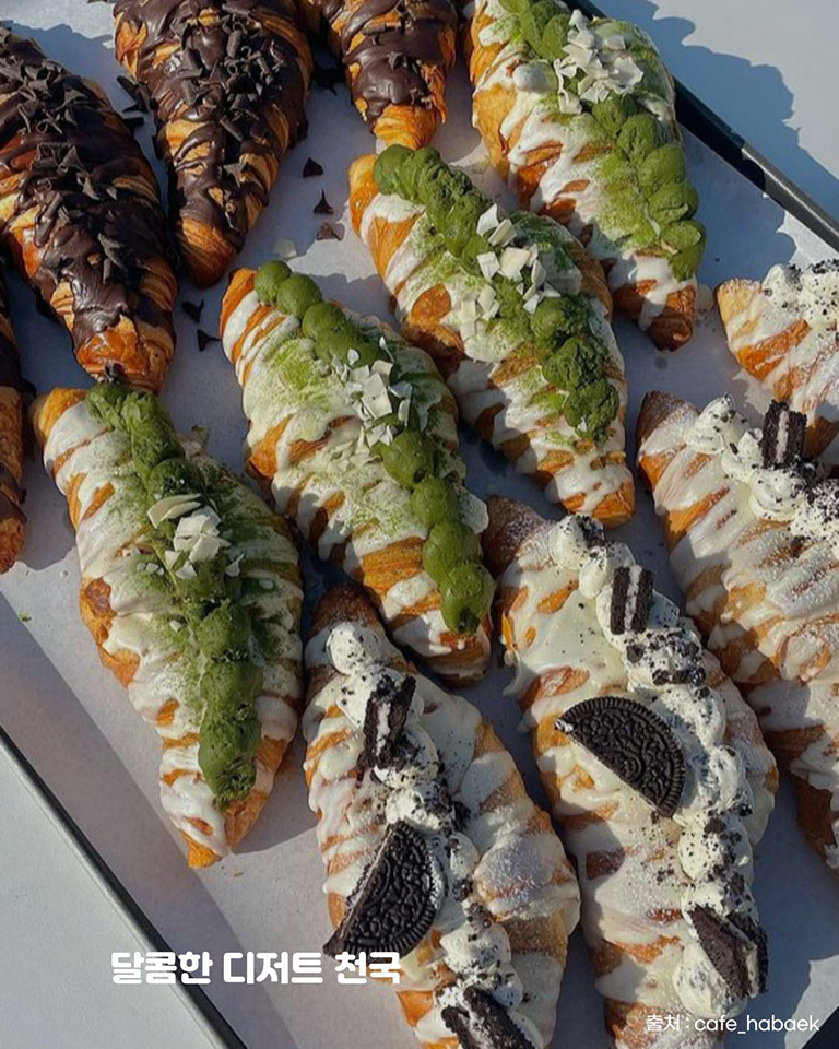 카페 하백