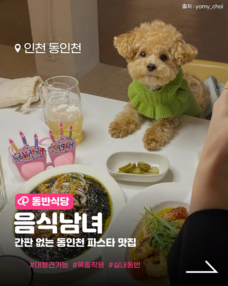 음식남녀