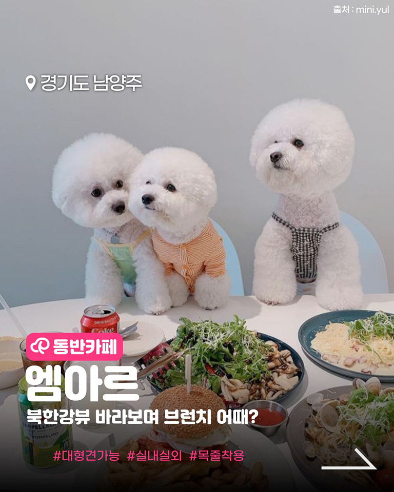 엠아르